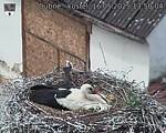 Capi_Dubne_20250516_135004.jpg