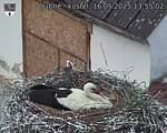 Capi_Dubne_20250516_135502.jpg