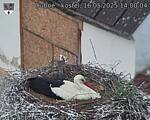 Capi_Dubne_20250516_140004.jpg