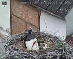 Capi_Dubne_20250516_141002.jpg