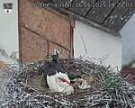 Capi_Dubne_20250516_142003.jpg