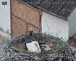 Capi_Dubne_20250516_143004.jpg