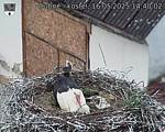 Capi_Dubne_20250516_144002.jpg