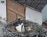 Capi_Dubne_20250516_144504.jpg