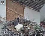 Capi_Dubne_20250516_145003.jpg