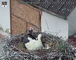 Capi_Dubne_20250516_145502.jpg
