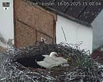 Capi_Dubne_20250516_150004.jpg