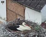 Capi_Dubne_20250516_150502.jpg