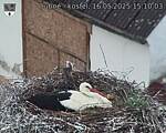 Capi_Dubne_20250516_151003.jpg