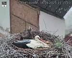 Capi_Dubne_20250516_151503.jpg