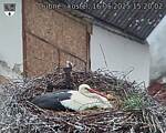 Capi_Dubne_20250516_152002.jpg
