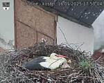 Capi_Dubne_20250516_175004.jpg