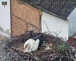 Capi_Dubne_20250516_182004.jpg
