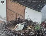 Capi_Dubne_20250516_183004.jpg