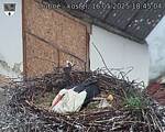 Capi_Dubne_20250516_184504.jpg