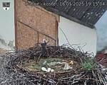 Capi_Dubne_20250516_191504.jpg