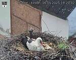 Capi_Dubne_20250516_192002.jpg