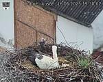 Capi_Dubne_20250516_193002.jpg