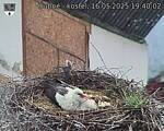 Capi_Dubne_20250516_194002.jpg