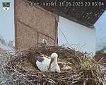 Capi_Dubne_20250516_200504.jpg