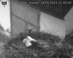 Capi_Dubne_20250516_210502.jpg