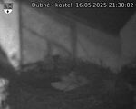 Capi_Dubne_20250516_213002.jpg