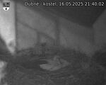 Capi_Dubne_20250516_214002.jpg