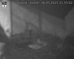 Capi_Dubne_20250516_215502.jpg