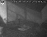 Capi_Dubne_20250516_222002.jpg