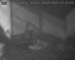 Capi_Dubne_20250516_222503.jpg