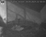 Capi_Dubne_20250516_225003.jpg