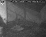 Capi_Dubne_20250516_230003.jpg