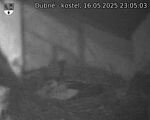 Capi_Dubne_20250516_230503.jpg