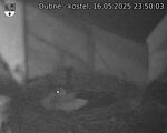 Capi_Dubne_20250516_235003.jpg
