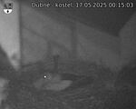 Capi_Dubne_20250517_001503.jpg