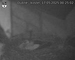 Capi_Dubne_20250517_002502.jpg