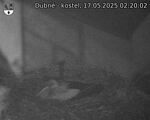Capi_Dubne_20250517_022002.jpg