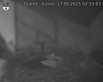 Capi_Dubne_20250517_025503.jpg
