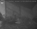 Capi_Dubne_20250517_031002.jpg