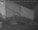 Capi_Dubne_20250517_035502.jpg