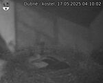 Capi_Dubne_20250517_041002.jpg