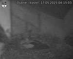 Capi_Dubne_20250517_041503.jpg