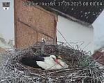Capi_Dubne_20250517_080004.jpg