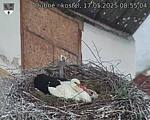 Capi_Dubne_20250517_085504.jpg