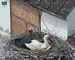 Capi_Dubne_20250517_134002.jpg