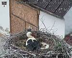 Capi_Dubne_20250517_141502.jpg