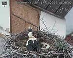 Capi_Dubne_20250517_142002.jpg