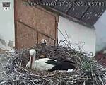 Capi_Dubne_20250517_145003.jpg