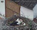 Capi_Dubne_20250517_152502.jpg