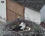 Capi_Dubne_20250517_154002.jpg